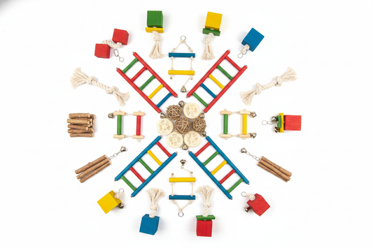 16-Piece Parrot Toy Set Hero Image