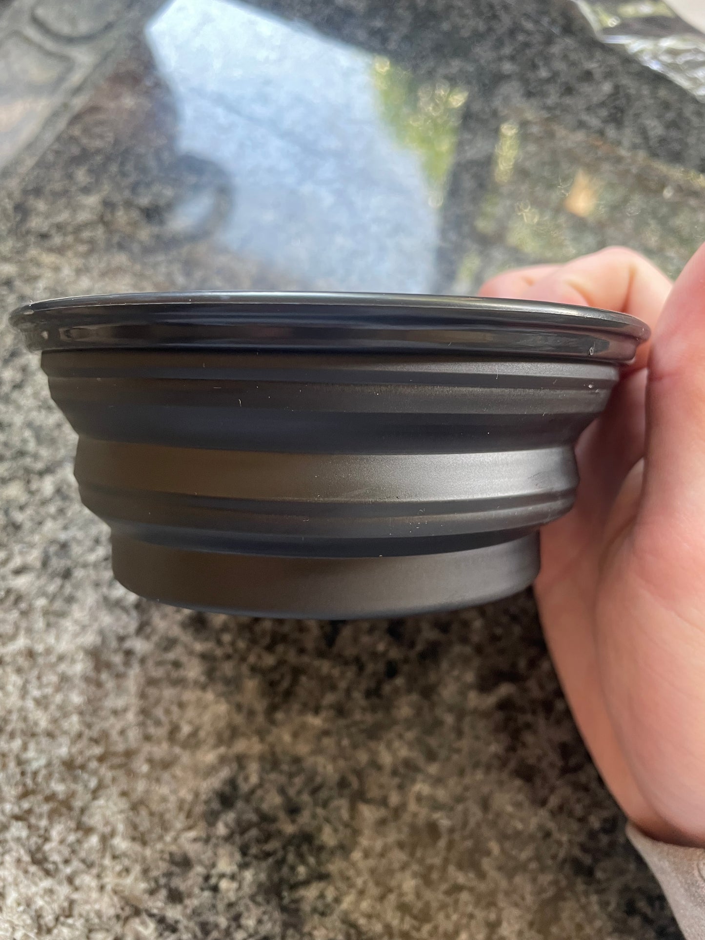 Foldable Pet Bowl – Portable