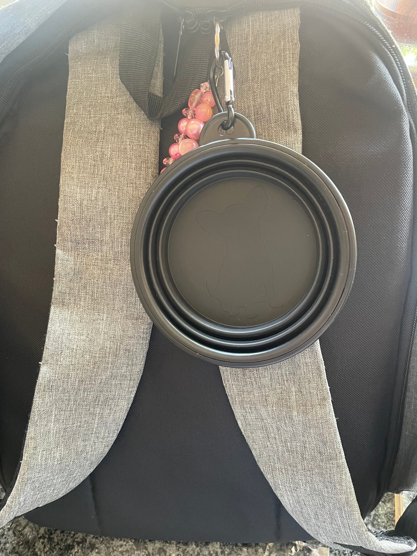 Foldable Pet Bowl – Portable