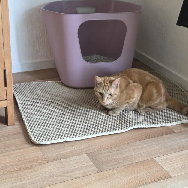 Cat Mat – Washable & Leak-Proof